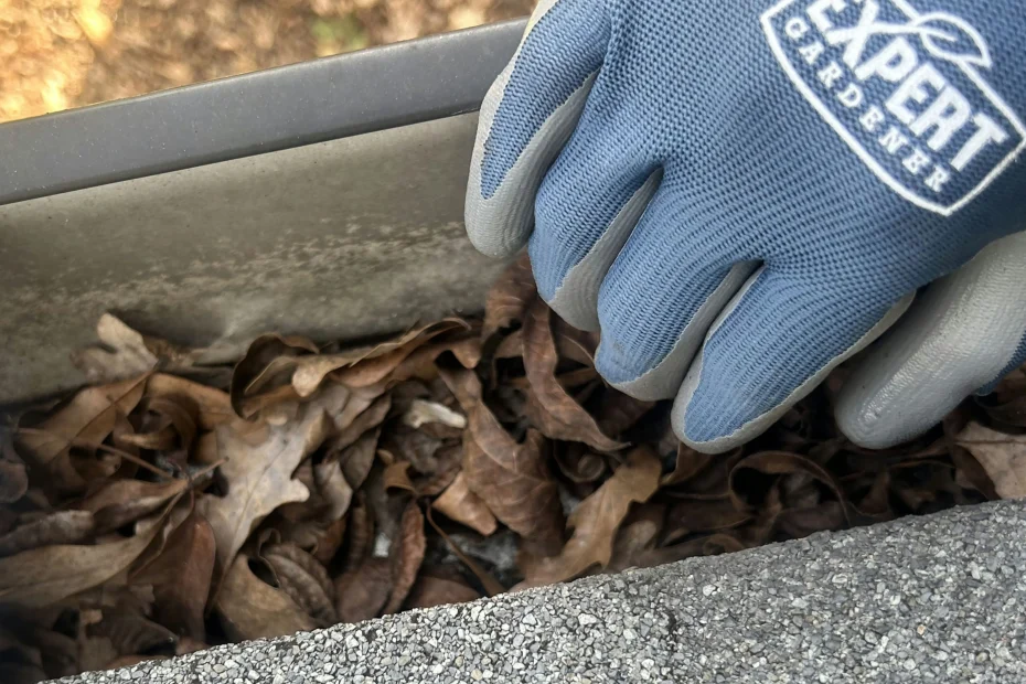 Gutter Cleaning Manassas