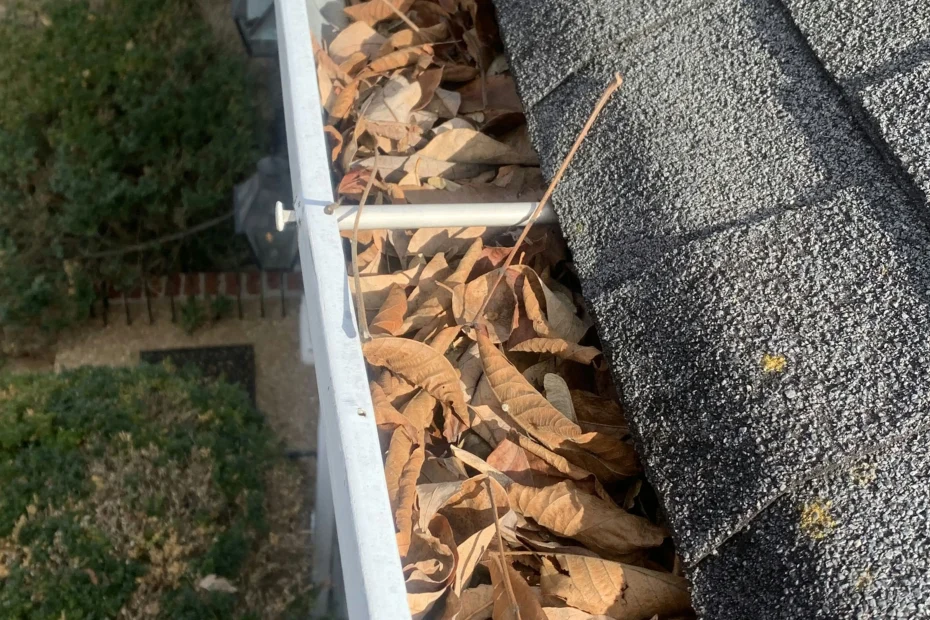 Gutter Cleaning Manassas