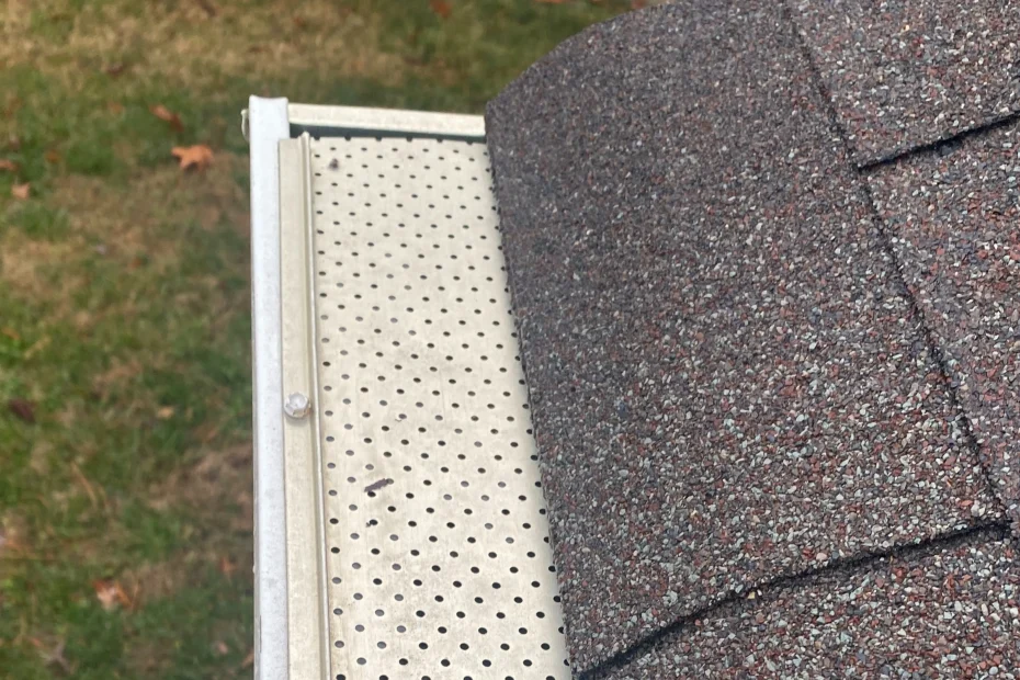 Gutter Cleaning Manassas