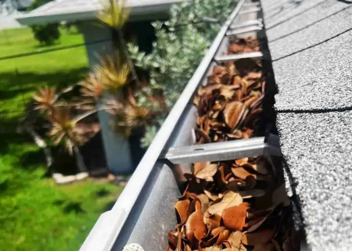 Gutter Cleaning Manassas home page